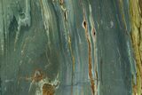 Gary Green Jasper (Larsonite) Bog Wood Slab - Oregon #302900-1